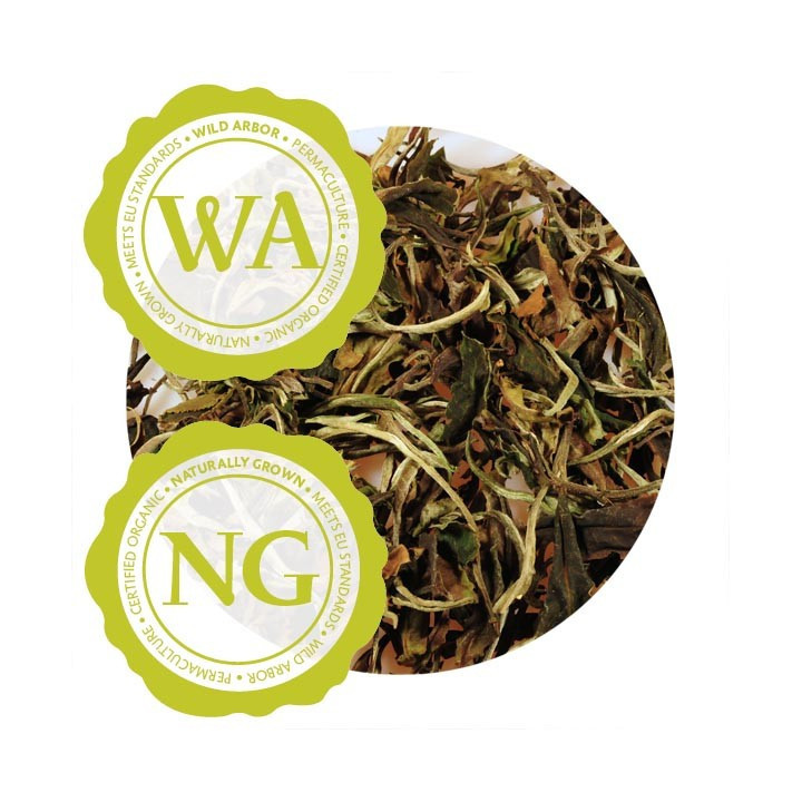DHARA WHITE TEA