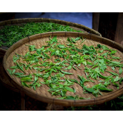 DHARA WHITE TEA