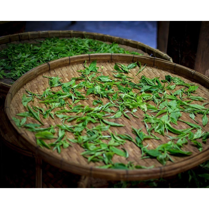 DHARA WHITE TEA