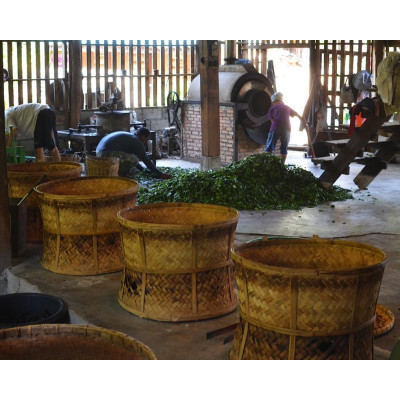 DHARA WHITE TEA