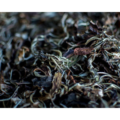 DHARA WHITE TEA
