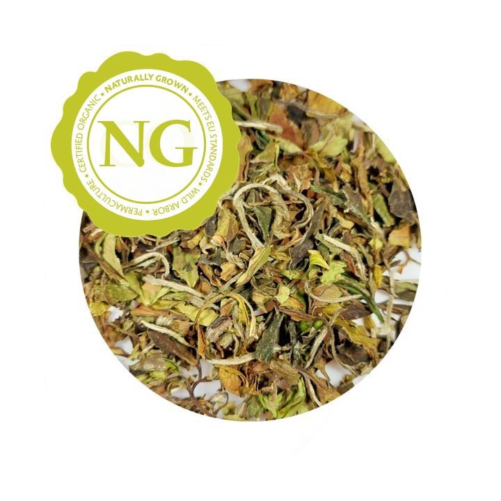 BAI MU DAN  NG