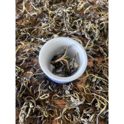 PA PAE Forest Amber