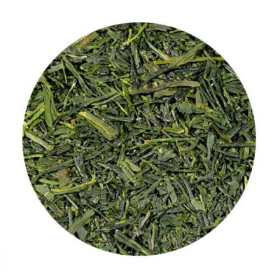 JAP. SENCHA 2024